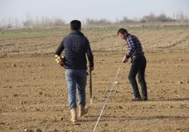 O‘zbekistonda 60 ming gektar yer maydoni auksionga qo‘yilib, yoshlarga ijaraga beriladi фото