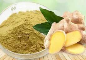 Занжабилнинг дунёдаги кўпчилик халқлар ўртасида