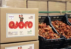 Ўзбекистон қишлоқ хўжалиги маҳсулотлари билан Европа