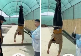 Бухоро вилояти Пешкў туманидаги «Аҳрор ота» ошхонаси