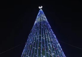 Тошкент вилоятида Янги йил байрамининг асосий рамзи — 30