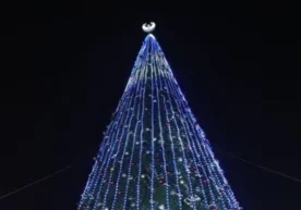 Тошкент вилоятида Янги йил байрамининг асосий рамзи — 30