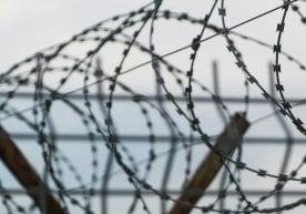 Омск суди Ўзбекистон фуқаросини 4 йил оғир режимли