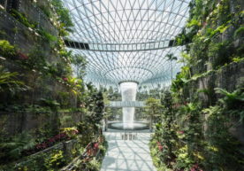 Фото: Instagram Safdie Architects архитектура компанияси