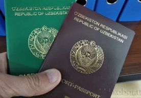 «Grin kard» bo‘yicha qo‘shimcha: bu yildan yashil pasport o‘tmaydi, qizil pasport kerak фото