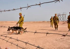 Three citizens of China were killed as a result of an