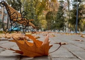 Ҳафта охиридаги об-ҳаво юртимиз аҳолиси учун қизиқ