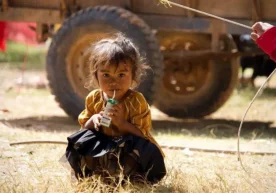 Камбоджада Таиланд билан чегара можароси давом этмоқда.