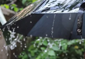 “Ўзгидромет” 10 февраль, сешанба куни учун навбатдаги