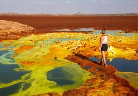 Тасаввур қилинг: сиз бошқа сайёрадасиз — ер остида заҳарли