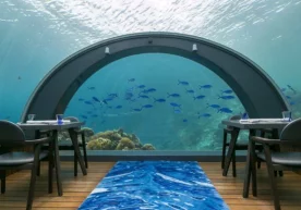 Ресторан Hurawalhi Maldives Resort меҳмонхонасининг ичида