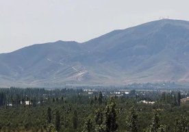 Foto: Sputnik / Tabildi Kadirbekov O‘zbekiston