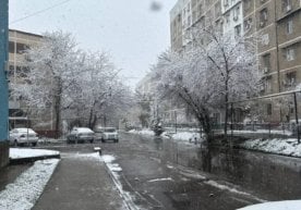 Сўнгги кунларда Ўзбекистонда тунги совуқлар кузатилмоқда.