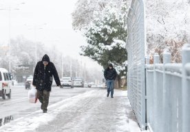 Ўзбекистоннинг турли вилоятларида 11 январь куни ҳаво