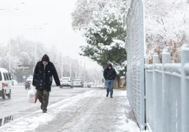 Ўзбекистоннинг турли вилоятларида 11 январь куни ҳаво