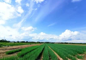 O‘zbekistonda O‘RQ–1128-son qonun qabul qilinib, Maʼmuriy