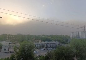 Тошкент шаҳар Фавқулодда вазиятлар бошқармаси кучли шамол