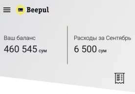 Beeline мижозларига янги интернет-хизмат – онлайн-тўловлар