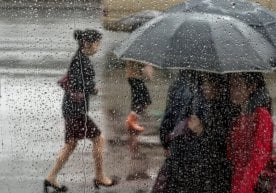 “Ўзгидромет” маълумотларига кўра, 2 март куни мамлакат