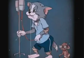 Бугун, 10 февраль куни дунё бўйлаб миллионлаб