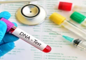 Фото: Google Images Тошкент вилоятида мурдани шахсини