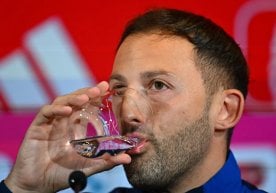 «Фенербахче» бош мураббийи Доменико Тедеско Туркия