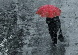 On March 4, the weather across Uzbekistan will be quite