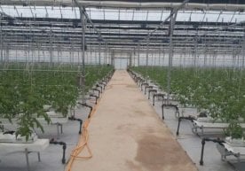 Узбекистон ҳукумати комплекс дастурни эълон қилди,