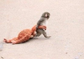 Ижтимоий тармоқларда кўнгилни бир вақтнинг ўзида ҳам