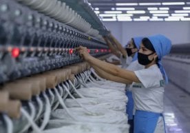 Миллий статистика қўмитаси 2025 йил 1 ноябр ҳолати бўйича