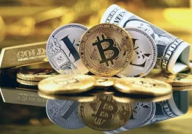 Ноябр ойининг навбатдаги ҳафтасидаги муҳим воқеалар