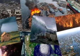 Фото: «Psinom» Жанубий Африкалик бир гуруҳ олимлар 12,8
