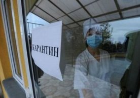 Toshkent viloyatida 4ta tumanda virusdan zararlanish holatlari aniqlangan фото
