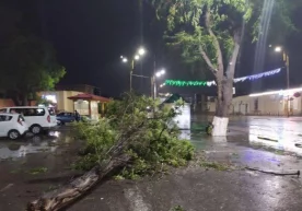 Foto: FVV matbuot xizmati Joriy yilning 27 aprel kuni