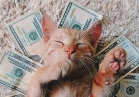 Филиппинлик талаба ҳақиқий олтин конини топди. У сунъий