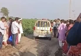 Ҳиндистоннинг Гужарот штатидаги Амрели шаҳрида ажойиб