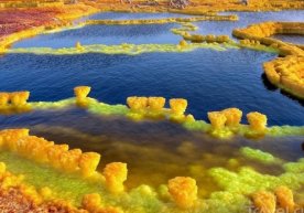 Foto: «travel.ru» Fransiyada Parij-syud universiteti