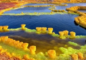 Фото: «travel.ru» Францияда Париж-сюд университети