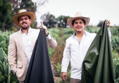 Икки мексикалик йигит кактусдан чарм олиш йўлини ихтиро қилди фото