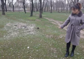 Тошкент вилояти, Ангрен шаҳар «Охунбобоев» истироҳат