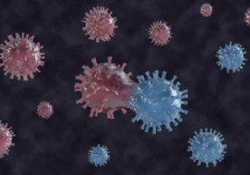 Фото: «Potokmedia.ru» Коронавирус янги мутацияларининг