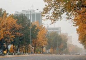 "Ўзгидромет"нинг хабар беришича, 29 ноябрь куни