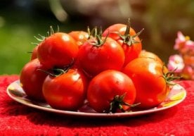 Ўзбекистонда октябрь ойида истеъмол бозори нархларнинг