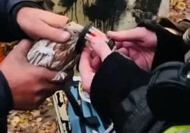 Қушлар Любертси яқинидаги ёнаётган омборхонадан эвакуация