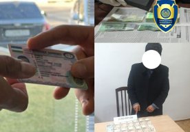 Пул эвазига ҳайдовчилик гувоҳномаси олиб бермоқчи бўлган шахслар ушланди фото