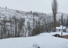 Бугун Ўзбекистон ҳудудига нам ва нисбатан совуқ ҳаво