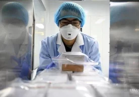 Германияда ёш аёл хонаки каламушидан ҳантавирус юқтириб