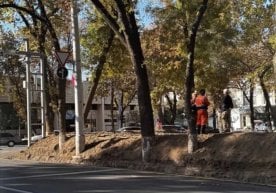 Тошкент шаҳар ҳокимлиги Абдулла Қодирий кўчасидаги