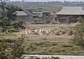 «Indamay olib borib, ko‘mib kelish boshlandimi?». Sirdaryodagi shubhali dafn marosimi videosiga aniqlik kiritildi фото