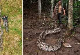 Индонезиянинг Сулавеси оролида 2025 йил охирида қўлга